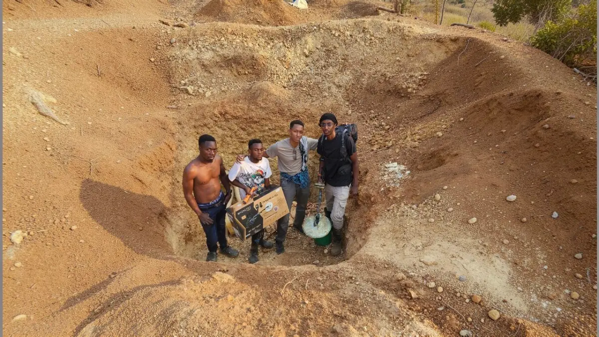 HPL Gold Detectors