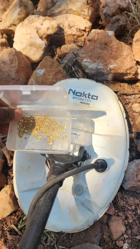 Detectorist holding a detector and recovered gold
